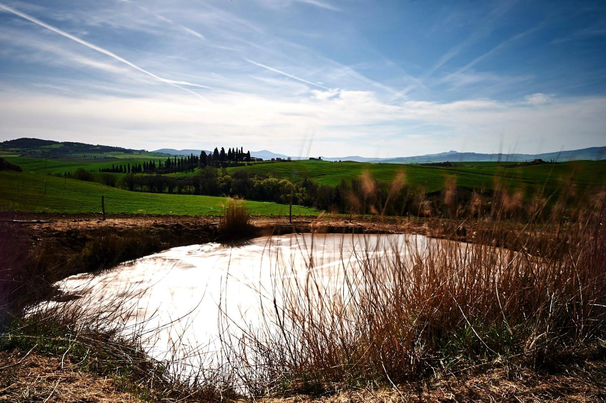 Villa Agriturismo Il Casalino à Pienza Extérieur photo