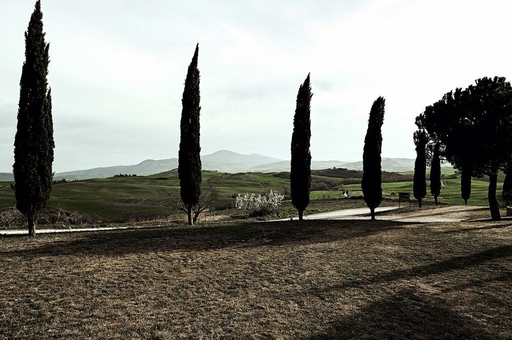 Villa Agriturismo Il Casalino à Pienza Extérieur photo