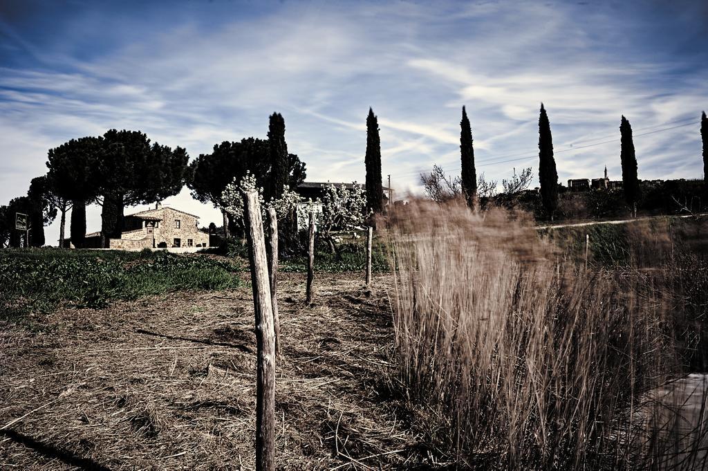 Villa Agriturismo Il Casalino à Pienza Extérieur photo