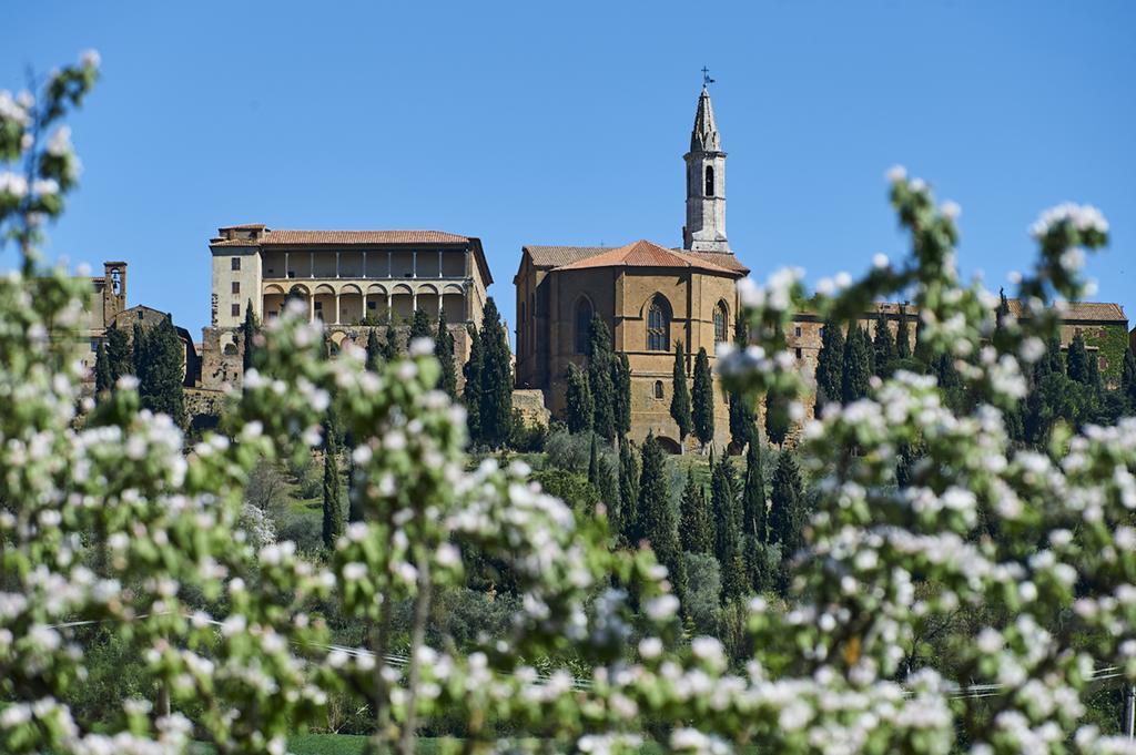 Villa Agriturismo Il Casalino à Pienza Extérieur photo