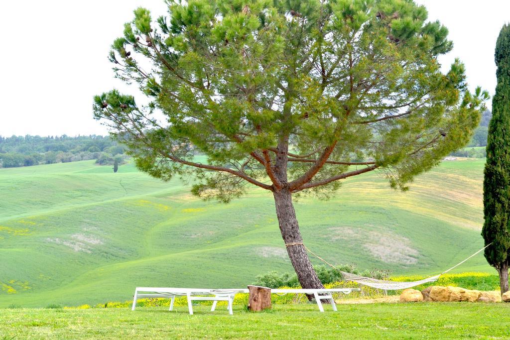 Villa Agriturismo Il Casalino à Pienza Extérieur photo