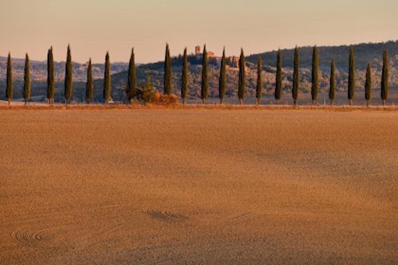 Villa Agriturismo Il Casalino à Pienza Extérieur photo